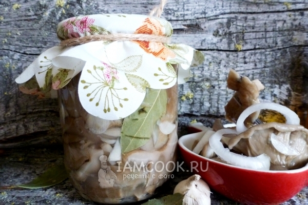 Рецепт соленых груздей в банках на зиму