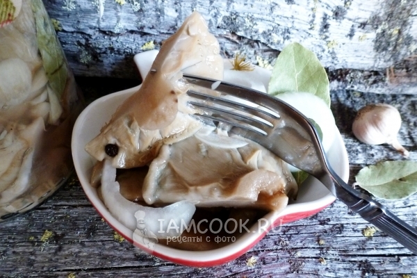 Соленые грузди на вилке