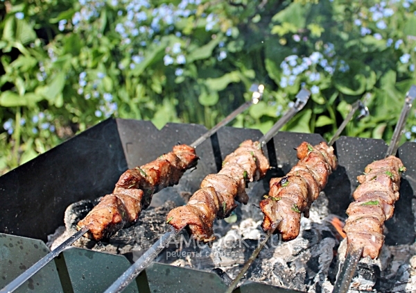 Пожарить шашлык