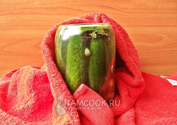 Готовые огурцы под капроновой крышкой на зиму