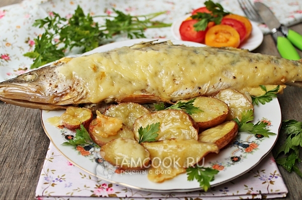 Рецепт судака целиком с картошкой в духовке