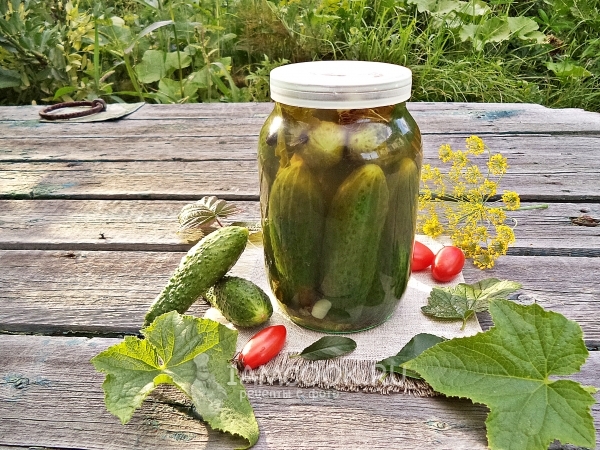 Фото огурцов под капроновой крышкой на зиму