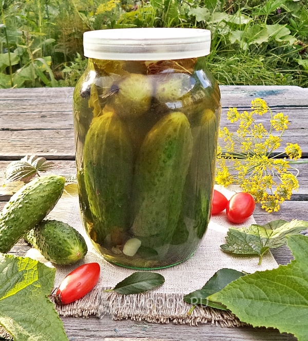 Рецепт огурцов под капроновой крышкой на зиму
