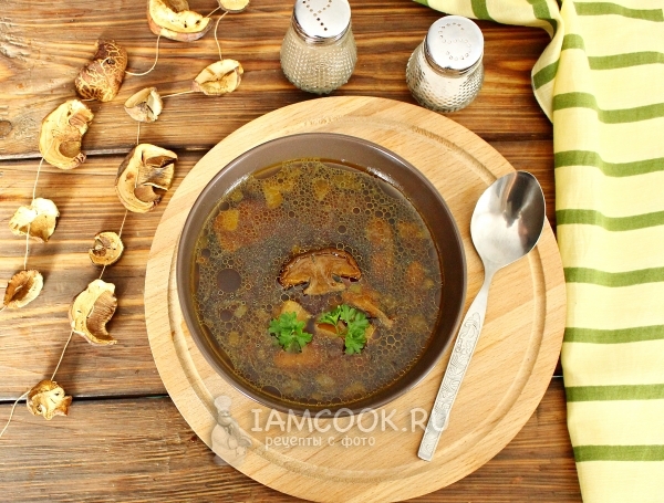 Фото грибовницы из сухих грибов