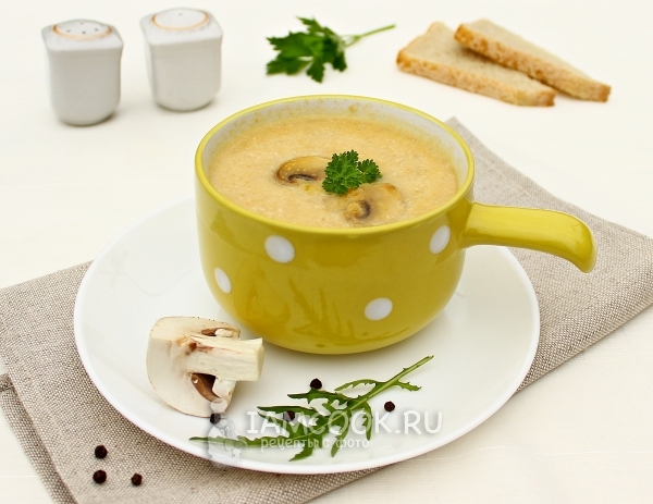 Фото супа-пюре из курицы и шампиньонов