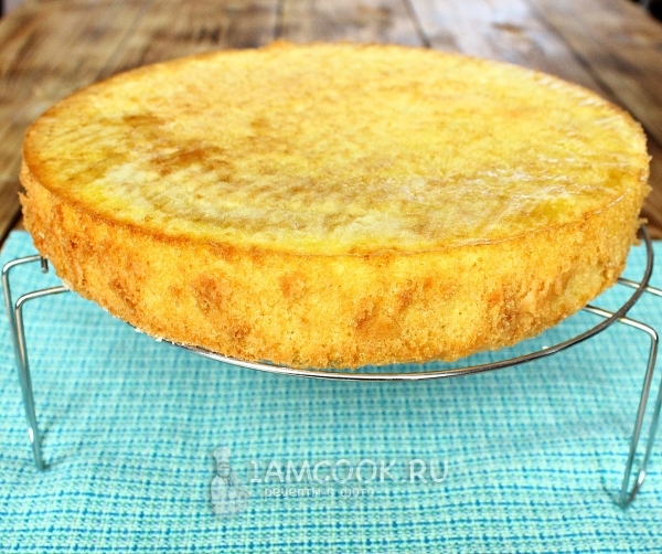 Готовый бисквит «Маргарита»