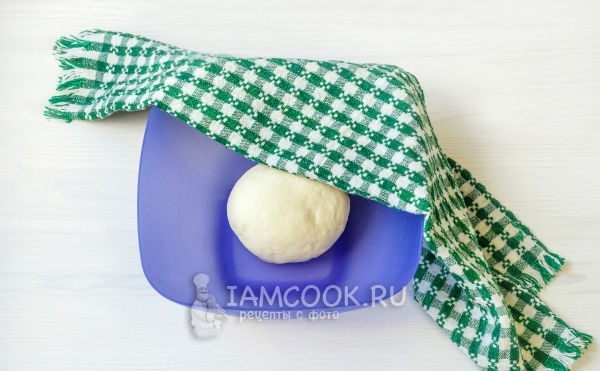Накрыть тесто влажным полотенцем