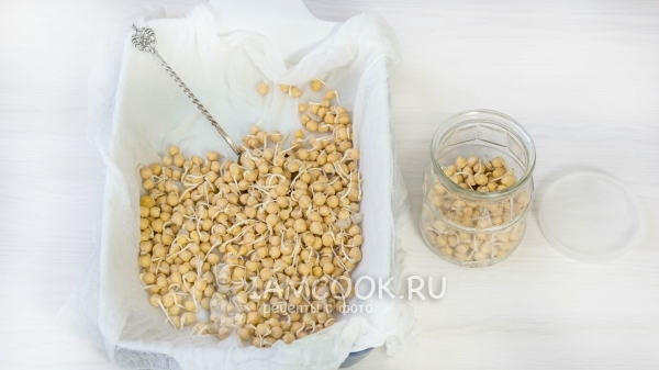Проращивание нута в домашних условиях