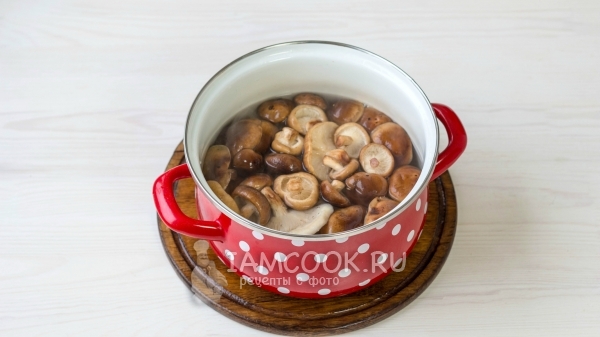Сварить грибы
