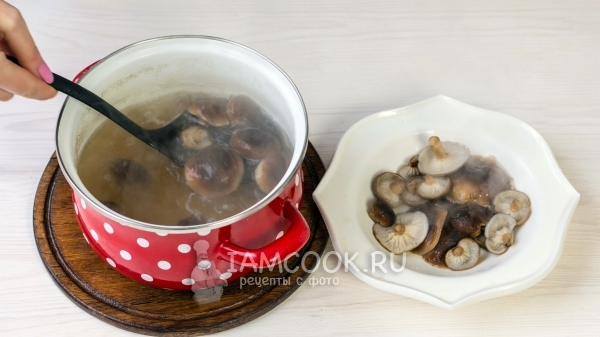 Достать грибы из воды