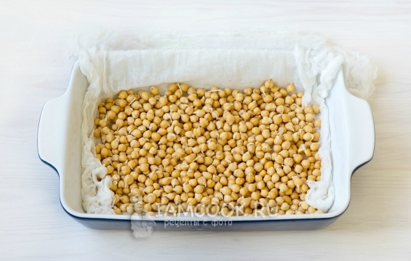 Прорастить нут