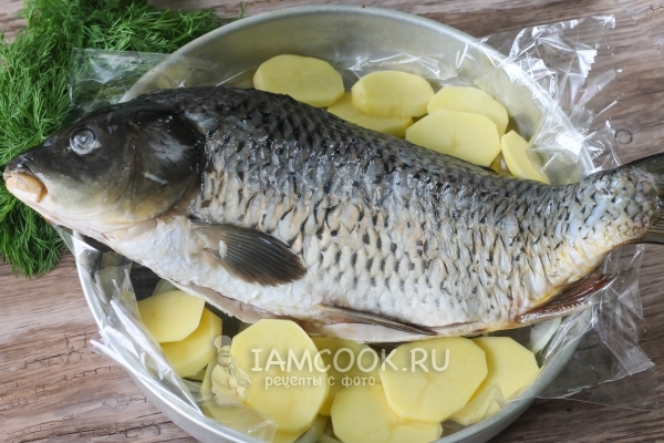 Положить рыбу на картофель