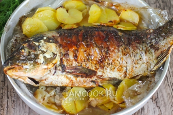 Фото сазана с картошкой в духовке