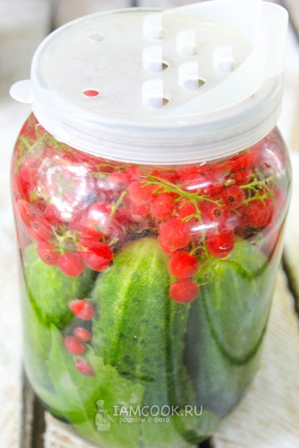 Закрыть банку крышкой с дырками