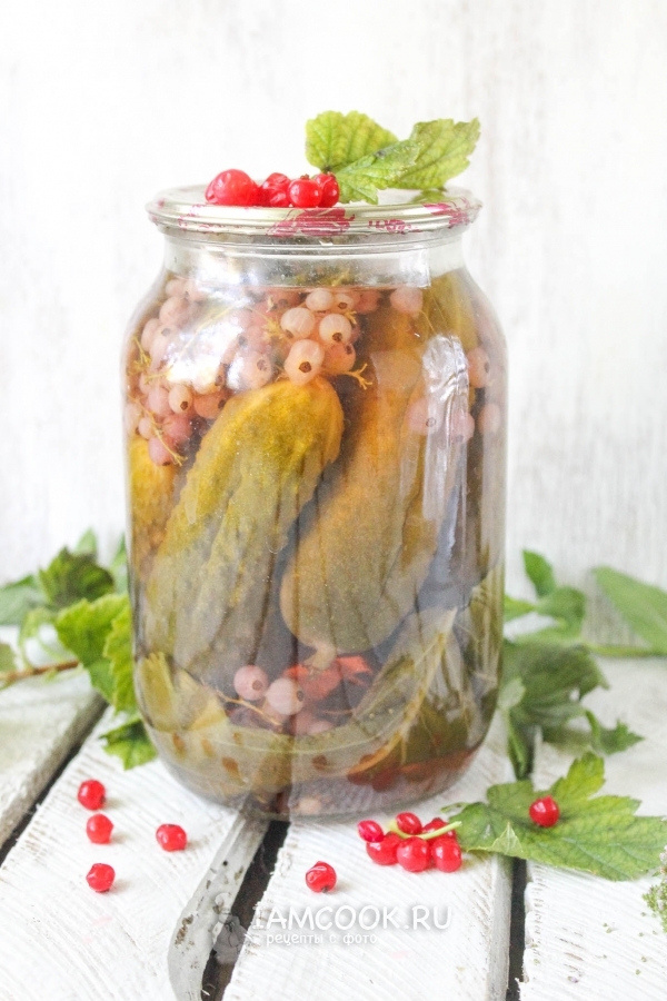 Фото маринованных огурцов с красной смородиной на зиму