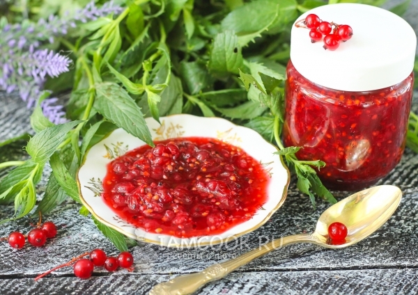Рецепт красной смородины с сахаром на зиму без варки