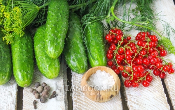 Ингредиенты для маринованных огурцов с красной смородиной на зиму