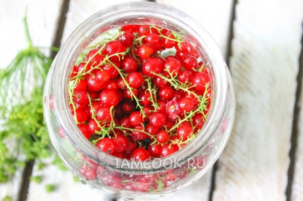 Положить в банку смородину