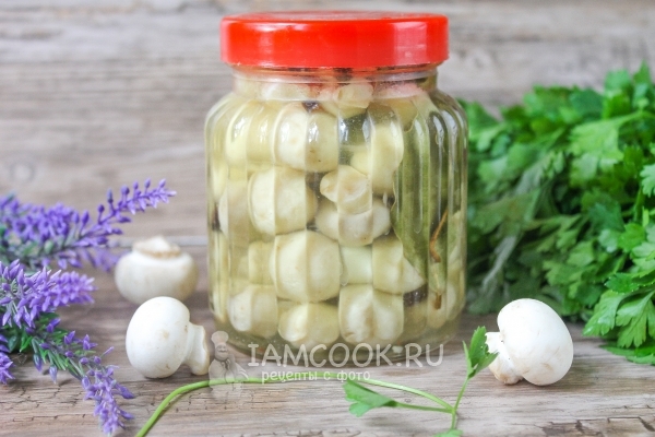 Фото маринованных белых шампиньонов