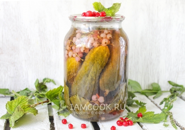 Рецепт маринованных огурцов с красной смородиной на зиму