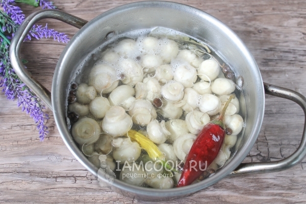 Положить грибы в маринад