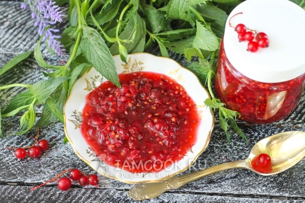 Фото красной смородины с сахаром на зиму без варки