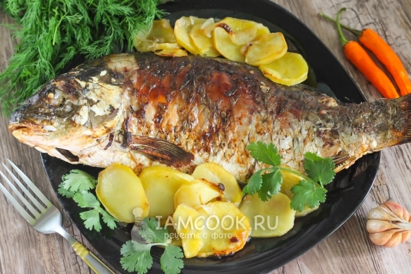 Рецепт сазана с картошкой в духовке
