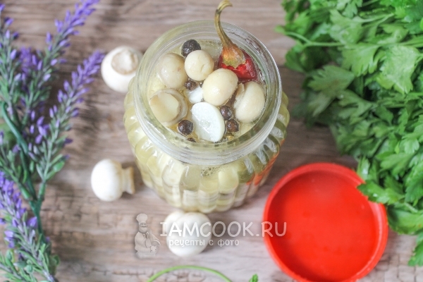 Рецепт маринованных белых шампиньонов