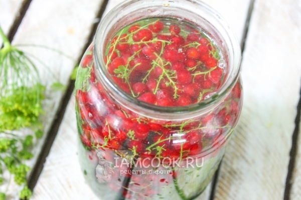 Залить банку кипятком