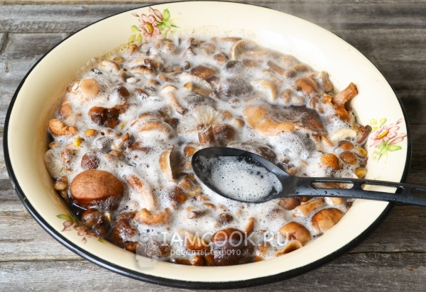 Вскипятить воду с грибами