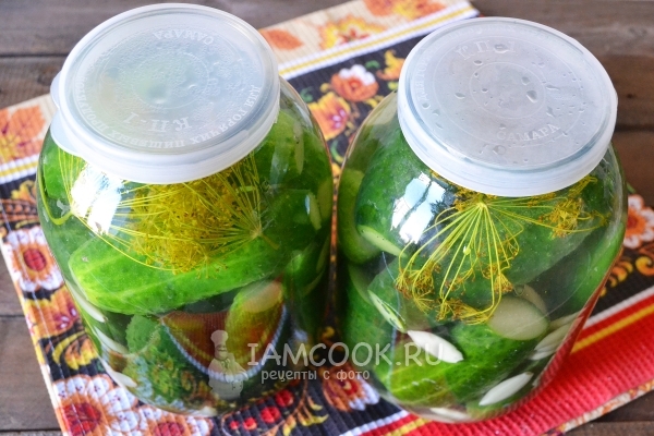 Фото малосольных огурцов с чесноком и укропом