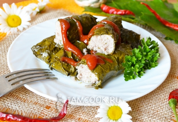 Рецепт долмы со свининой без риса