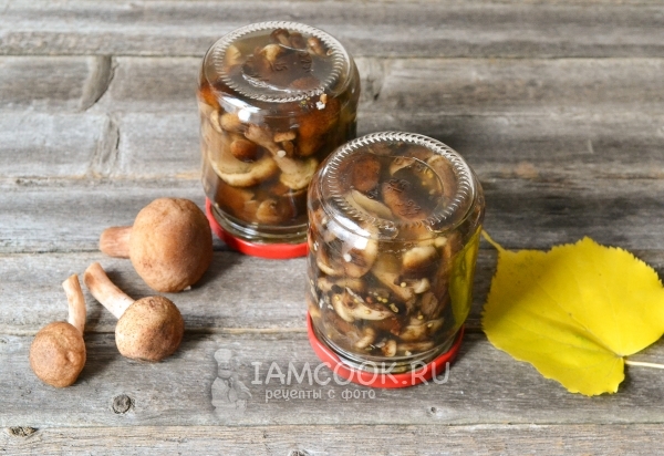 Фото маринованных опят в банках на зиму