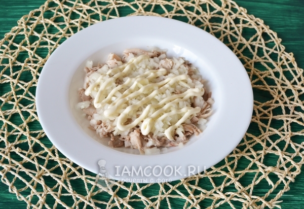 Выложить слой лука с майонезом