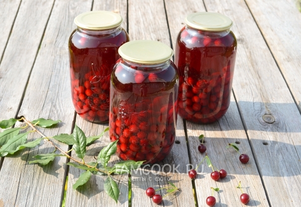 Рецепт концентрированного компота из вишни на зиму