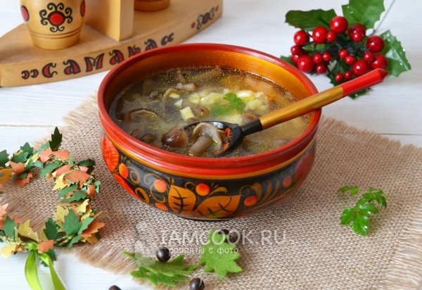 Фото грибного супа из опят