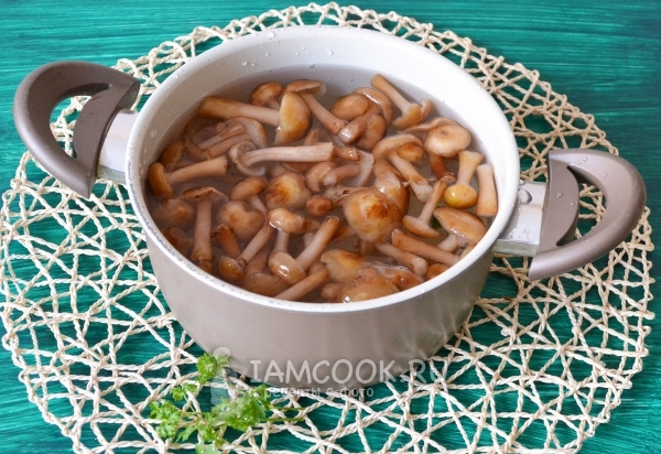 Положить грибы в воду