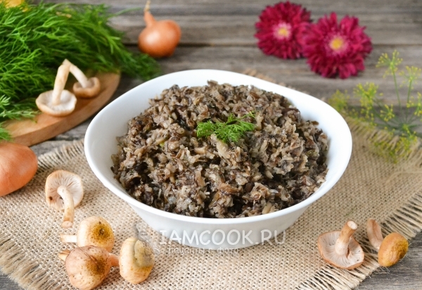 Фото грибного фарша из лесных грибов