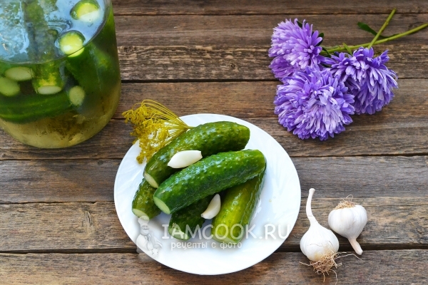 Рецепт малосольных огурцов с чесноком и укропом
