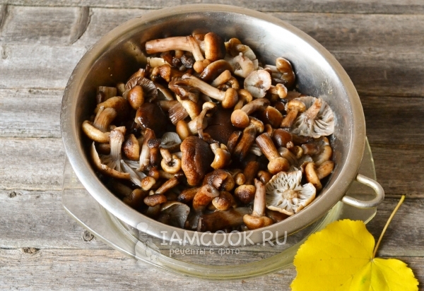 Сварить грибы