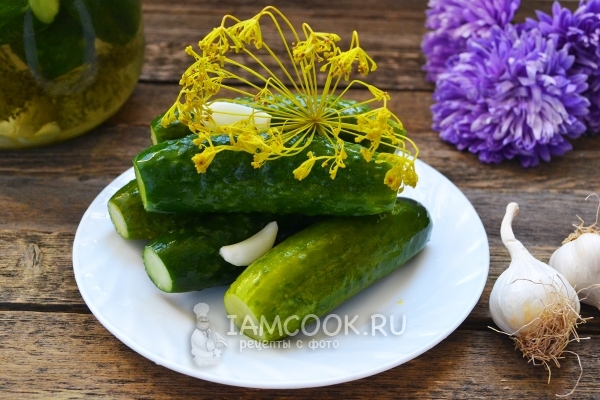 Готовые малосольные огурцы с чесноком и укропом