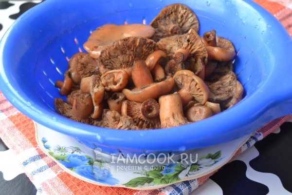 Откинуть грибы на дуршлаг