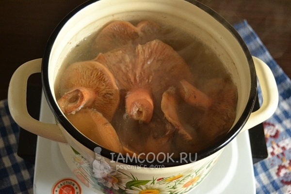 Сварить грибы
