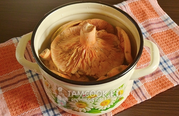 Помыть грибы