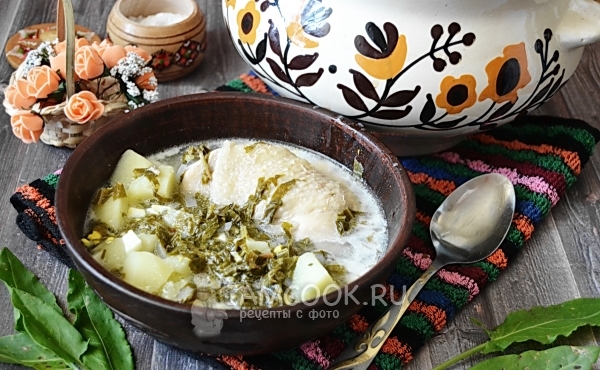 Фото зелёного борща в мультиварке