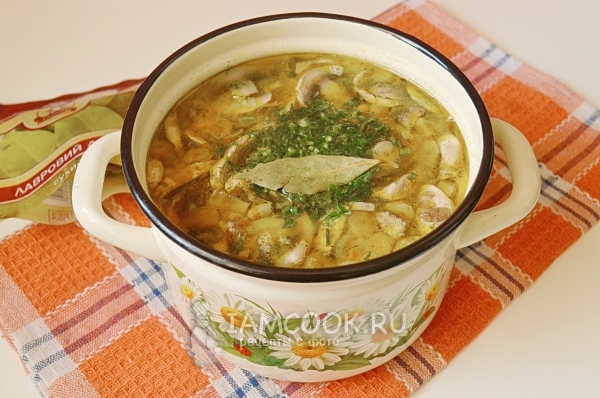 Рецепт грибного супа из замороженных шампиньонов