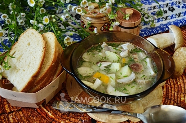 Рецепт грибного супа из свежих белых грибов