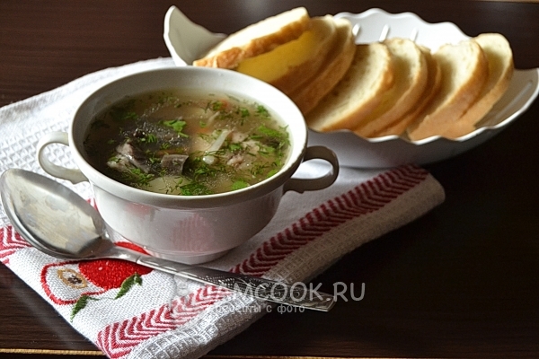 Фото грибного супа из свежих подберезовиков