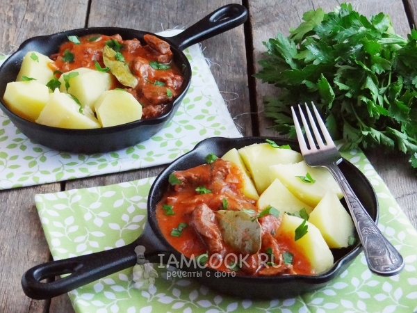 Фото гуляша из лосятины с подливкой