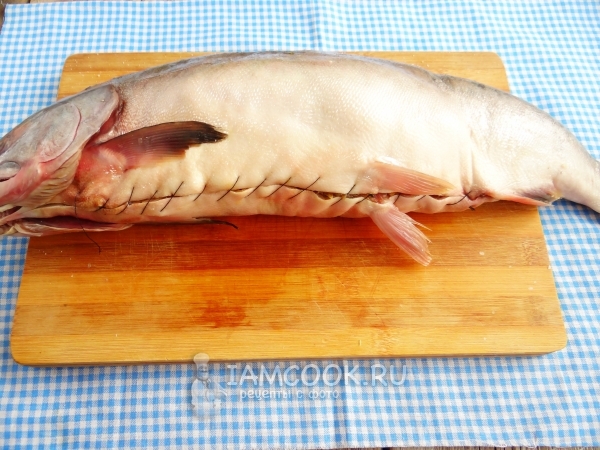 Зашить у рыбы брюшко